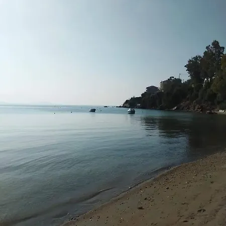 Sun And Shade * Khorto